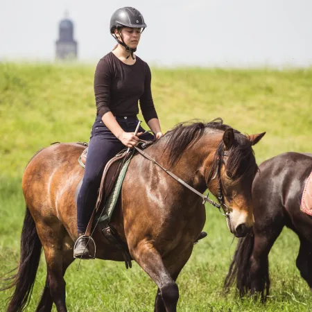 Marjan's Paardenschool