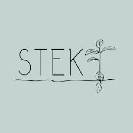 Stek