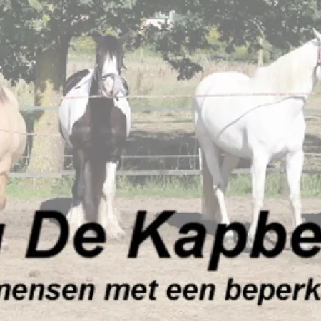 Stichting "De Kapberg"